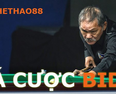 Tìm hiểu cách chơi cá cược Bida trực tuyến tại nhà cái